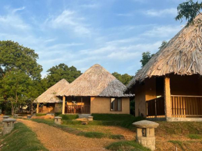 Saffron Lake Yala